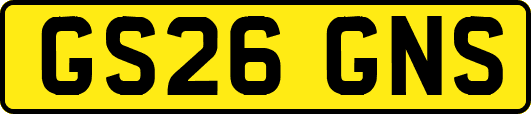 GS26GNS