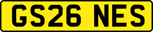 GS26NES