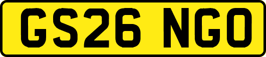 GS26NGO