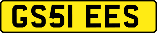 GS51EES