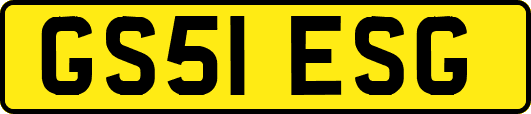 GS51ESG