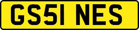 GS51NES