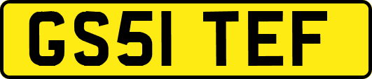 GS51TEF