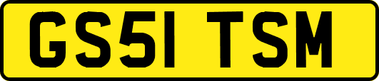 GS51TSM