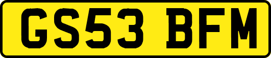 GS53BFM