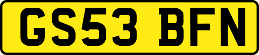 GS53BFN