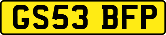 GS53BFP