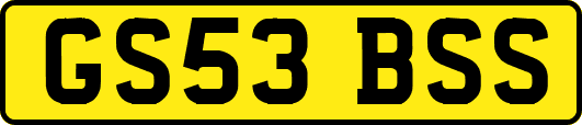 GS53BSS
