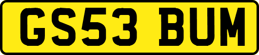 GS53BUM