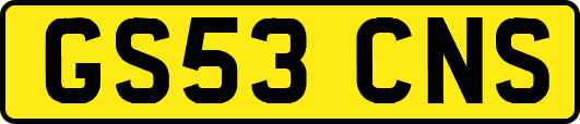 GS53CNS