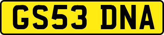 GS53DNA