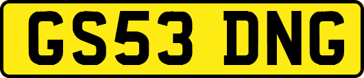GS53DNG