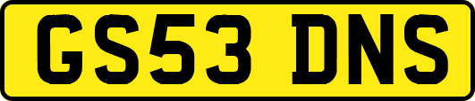 GS53DNS