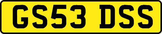 GS53DSS