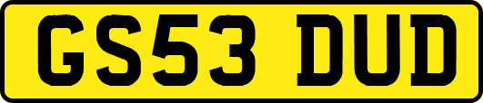 GS53DUD