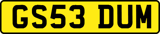 GS53DUM