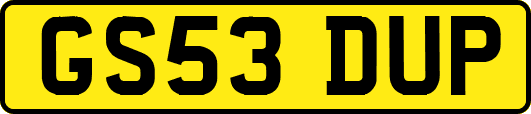 GS53DUP