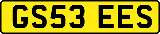GS53EES