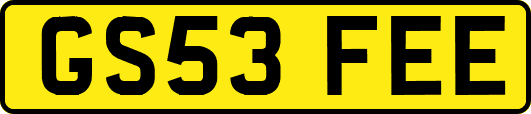 GS53FEE