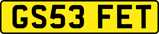 GS53FET