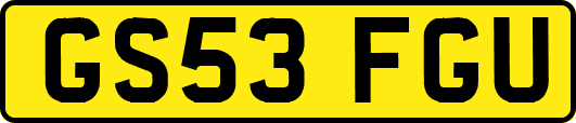 GS53FGU