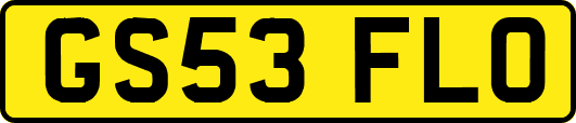 GS53FLO