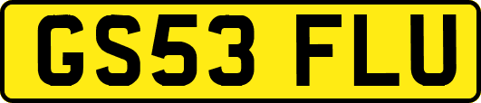 GS53FLU