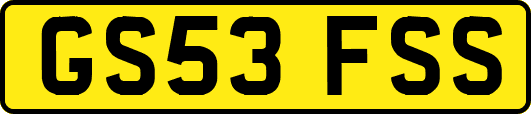GS53FSS