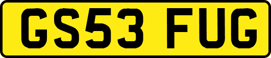 GS53FUG