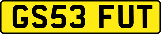 GS53FUT