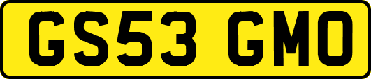 GS53GMO