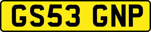 GS53GNP