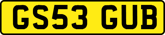 GS53GUB