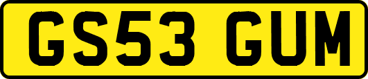 GS53GUM