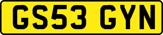 GS53GYN