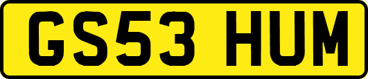 GS53HUM