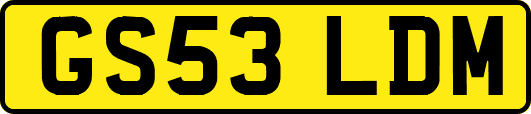 GS53LDM