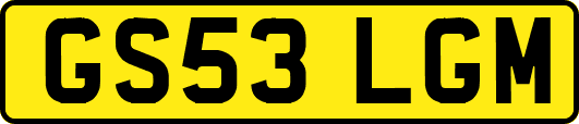 GS53LGM