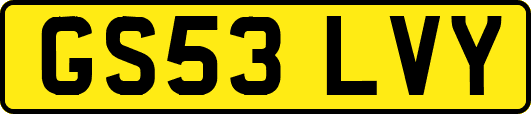 GS53LVY