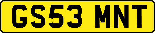 GS53MNT