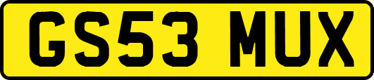 GS53MUX