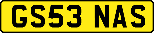 GS53NAS