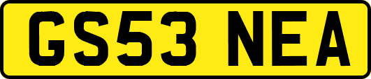 GS53NEA