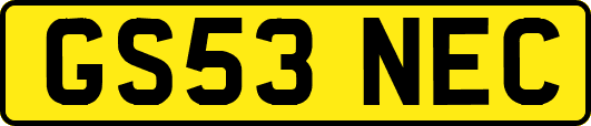 GS53NEC
