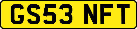 GS53NFT