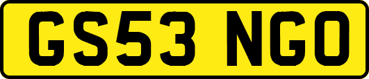 GS53NGO