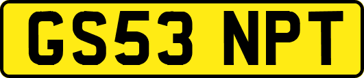 GS53NPT