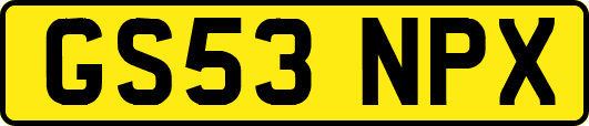 GS53NPX
