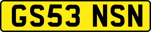 GS53NSN