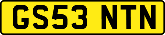 GS53NTN